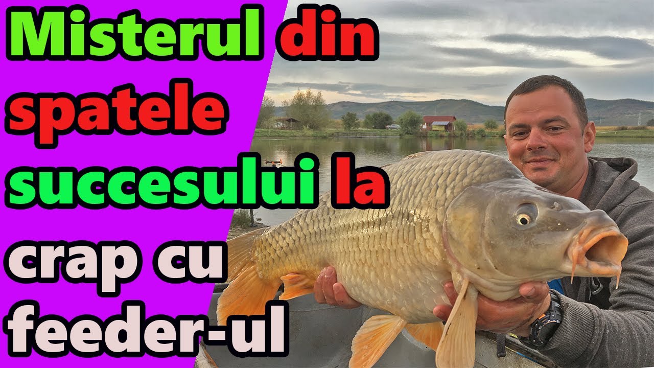 Misterul din spatele succesului la crap cu feeder-ul