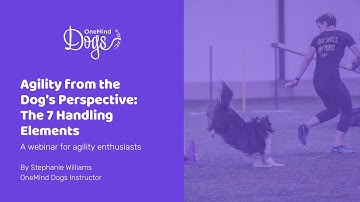 A Webinar about Agility from the Dog’s Perspective: The 7 Handling Elements