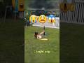 funny videos 😭😱 #shorts #funny #fail