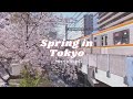 Spring in tokyo cherry blossom viewing aesthetic cafes nakameguro teleworking tokyo vlog