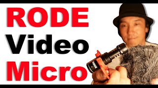 開封時動画撮影 main-1.jpg?v=1753946526