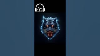 #@DJSnake #@DJKhaledOfficial#@user-dj7ig5ht2c #@DjMaRiiO #@dongtaypromotionofficial