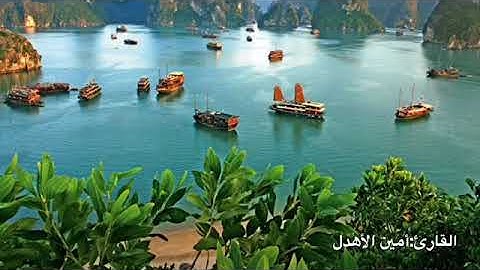 تلاوه حجازيه الشيخ / آمين الأهدل