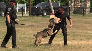 Scituate & Hingham Police Departments' K9 Demos at Safety Day 2026