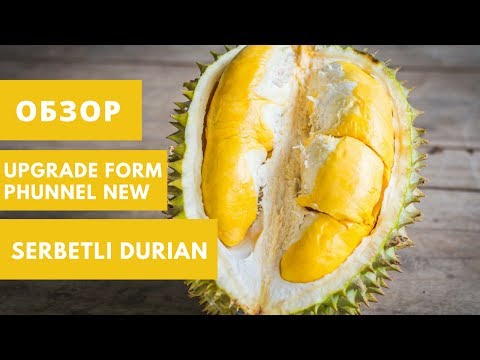 Обзор Upgrade Form Phunnel New и Serbetli Durian