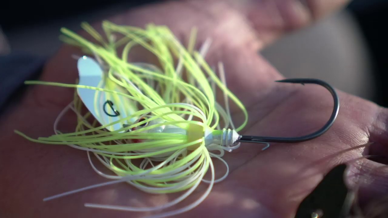 Thunder Cricket bringthethunder YouTube