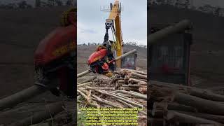 Powerful Excavator Log Cutter in Action! #HeavyMachinery #Logging #Excavator