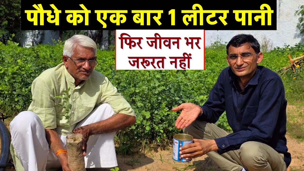 एक लीटर पानी से पौधा लगाने की तकनीक, फिर जीवन भर जरूरत नहीं पड़ती || Technical Farming ||