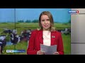 В Калининградской области поголовье крупного рогатого скота превышает 170 тысяч животных