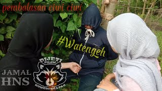 (Ciwi Ciwi balas dendam) /(bocah Kuntul Apes Lagi) ||DIJETI FILM #komedingapak #watengeh