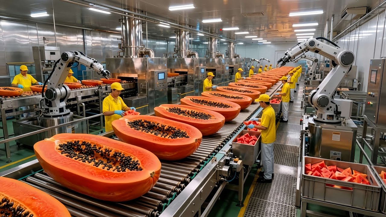 Inside a Modern Papaya Factory: From Fresh Papayas to Smooth Orange Purée (Full Process)