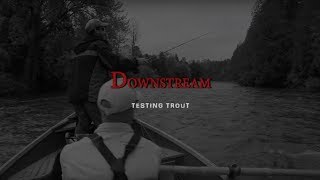 DOWNSTREAM  ~ TESTING TROUT - Saugeen River Fly Fishing