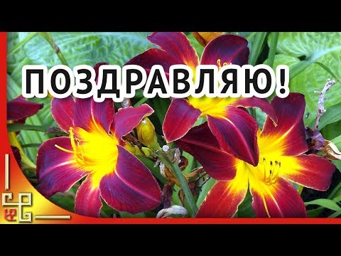 Как поздравить с Днем рождения в августе. Открытки с днем рождения