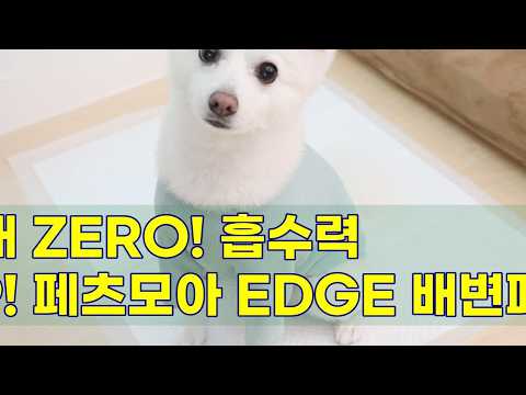 페츠모아 요술배변패드 EDGE: 냄새 걱정 끝! 흡수력 30% UP! 🐕💨