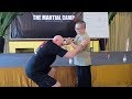 Huai hsiang wang  prana dynamics  the martial camp 2020