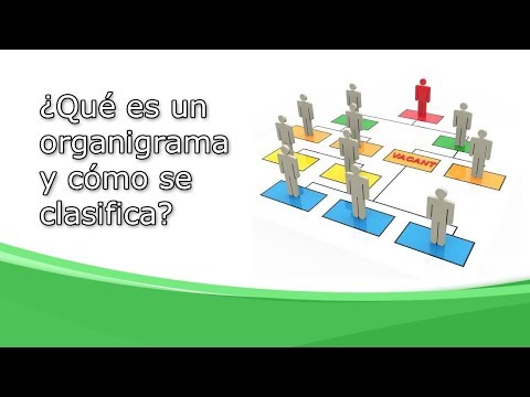 Vídeo: Què és La Reorganització