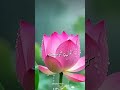 mayoos tu kabhi na ho Math haar hosla