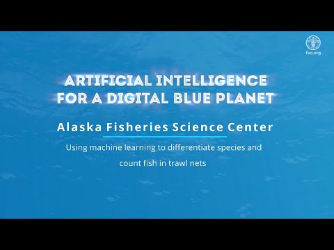 FAO AI4DBP Using machine learning to differentiate species and count fish in trawl nets