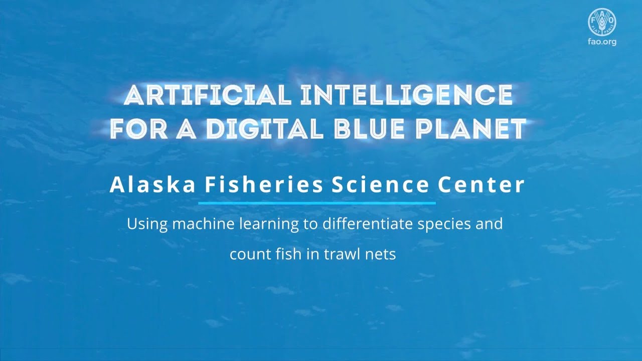FAO AI4DBP Using machine learning to differentiate species and count fish in trawl nets