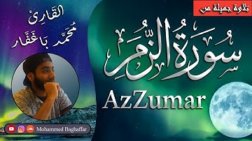 إِنَّكَ مَيِّتٌ وَإِنَّهُمْ مَيِّتُونَ 💔 آيات تقشعر لها الأبدان وتلاوة خاشعة من سورة الزمر
