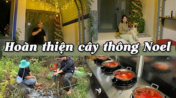 Hải đã quay lại và cây thông cũng đã được hoàn thiện #cuocsongnongthon #maphayke #nguyenkim #vlog