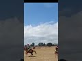 Duet Ta Ii Guyyaa Har Aa Gondor Sirbaa Darisle Duet Duet Ta Ii Guyyaa Har Aa Gondor Sirbaa Darisle Duet