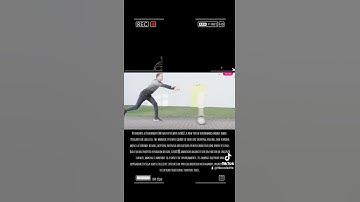 "Fraunhofer IML Unveils evoBOT: Revolutionary Autonomous Robot for Logistics and Urban Use"