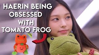 Haerin Being Obsessed With Tomato Frog.