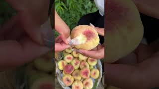 Agriculture Village Fresh Fruit #Viral #Fruit #Shorts #1035