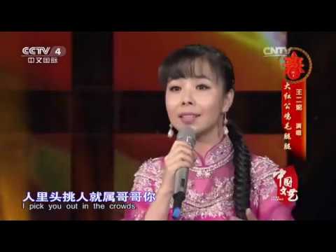 Big Rooster Hairy Legs《大红公鸡毛腿腿》–Wang Erni 王二妮 EngSub
