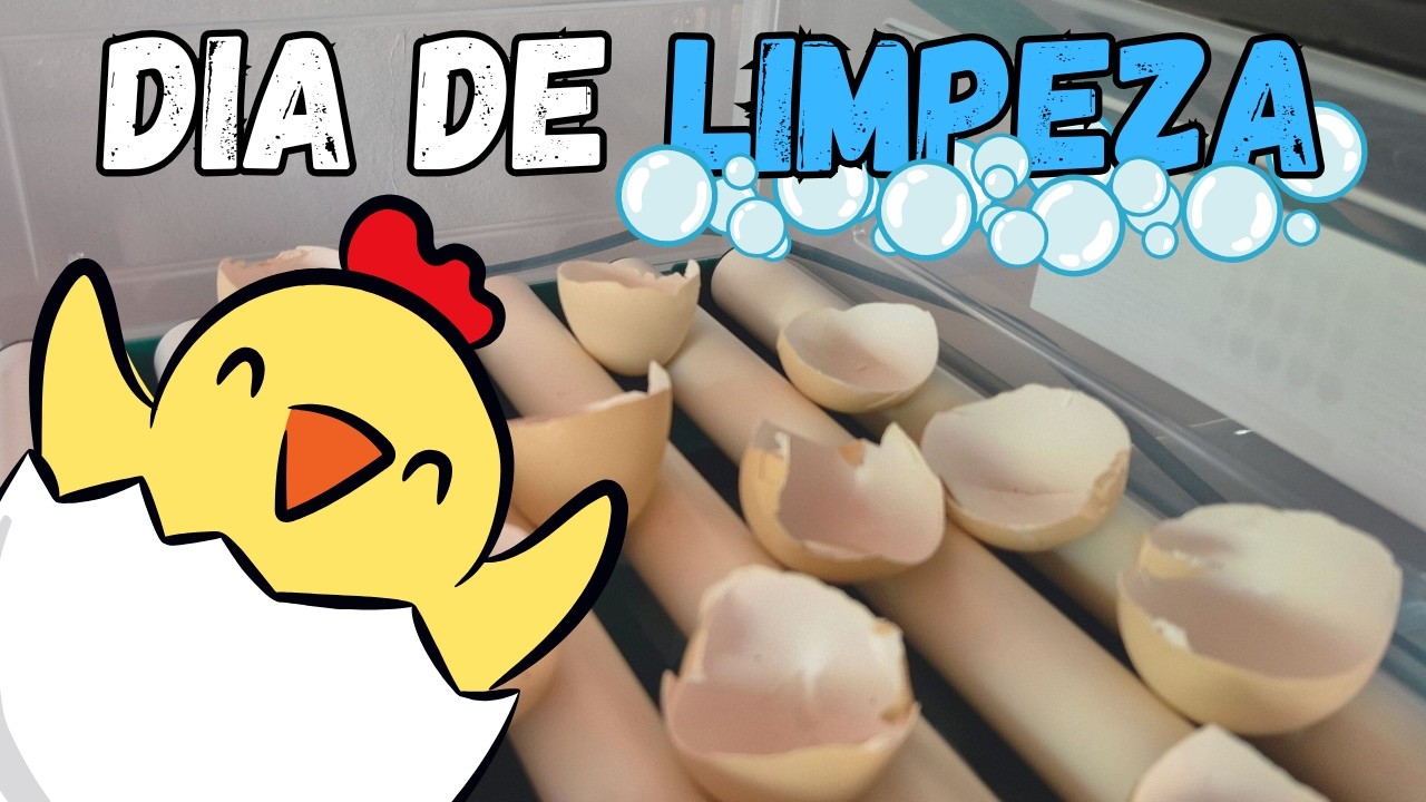 LIMPANDO A CHOCADEIRA - Diário do Sitio Nº3