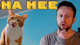 Video thumbnail of "Chai Kichi x Spaul Ha Hee (Singing Cat) KIFFNESS style"