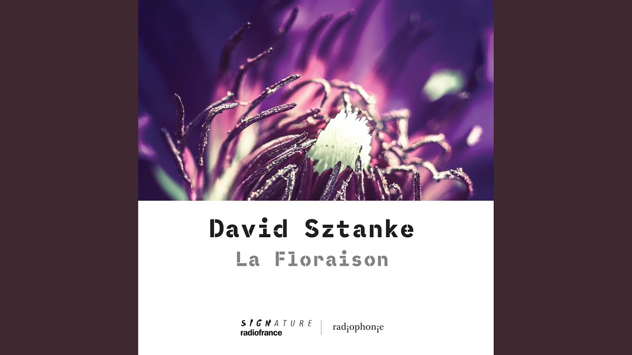 Ver Utricularia Gibba no YouTube Ver Utricularia Gibba no YouTube