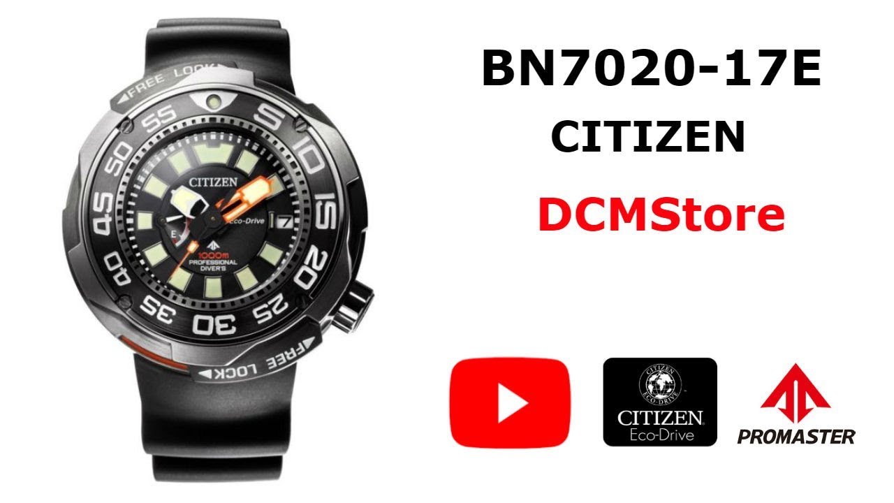 promaster 1000m professional diver