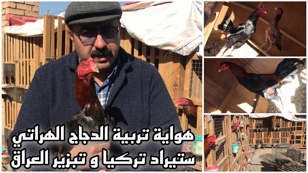 هراتي ستيراد تركيا وتبزير العراق