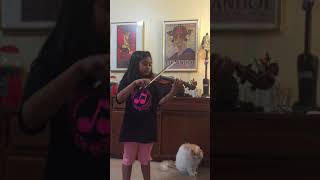 IMG 8987