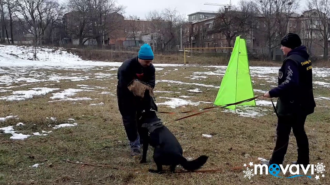 IGP/IPO protection training Kharkov. ИПО/ИГП защитный тренинг в Харькове