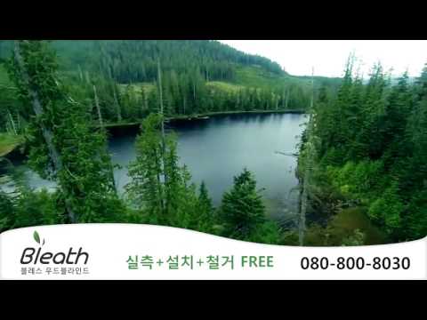 블레스 블라인드 VOD광고 개시