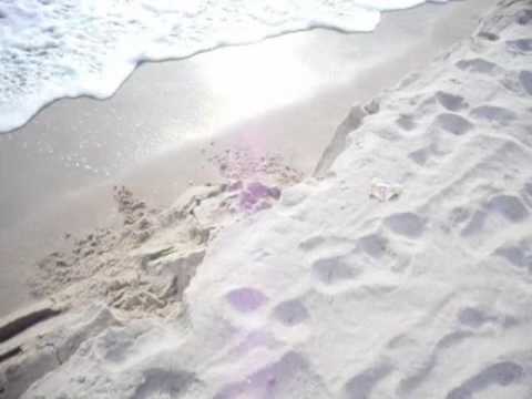 Jeffrey and Kristin watch beach erosion at West Pa...