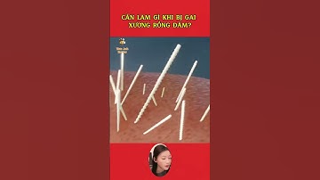 Làm gì khi bị gai xương rồng đâm? #giảitrí #shotsvideo #thaoanhreview #xươngrồng #sinhton #thinhhanh