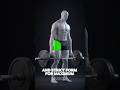 3D Trap Bar Deadlift: Build Bigger Glutes with Perfect Form