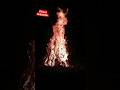 Holika Dahan in our society #shortbeta #shorts #holi #viral #trending #holikadahan2024