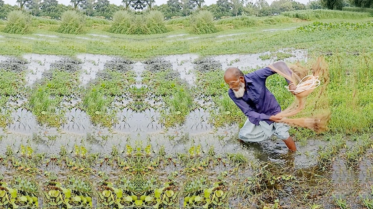 Most Amazing Cast Net Throws - Best Net Fishing Video - Traditional Village Fisherman