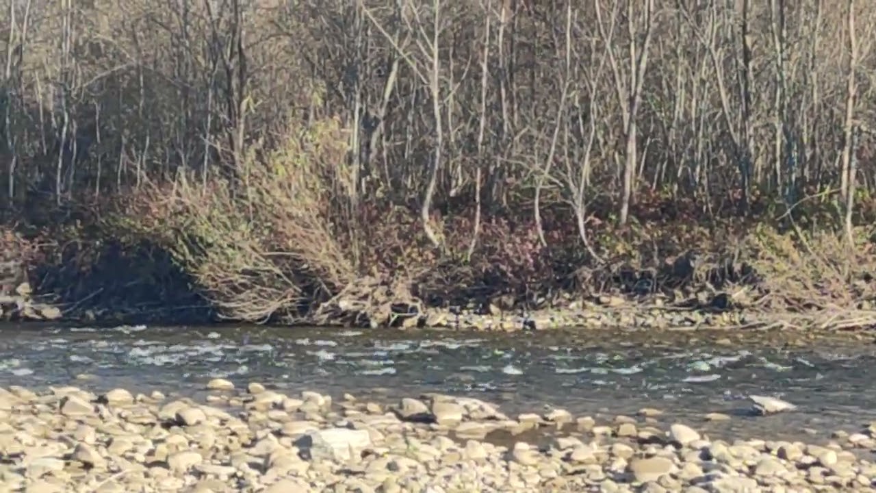 Быстрица, 15 ноября 2022 года