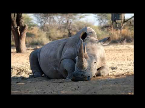 Impressionen, Namibia 2019