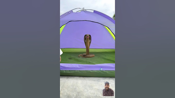 Tent house me saap kha se aagya🛖🥺😂#shorts #ytshorts #viralvideos#tenthouse