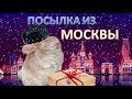 Пришла посылка из МОСКВЫ! Обзор на корм "ЗАКРОМА" для шиншилл и таблерон "Зверьё моё"