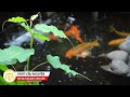 Phút Cầu Nguyện | Thứ Ba 28/04/2026: Hiệp thông trong đời sống chứng nhân