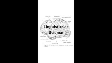 Is linguistics a science?