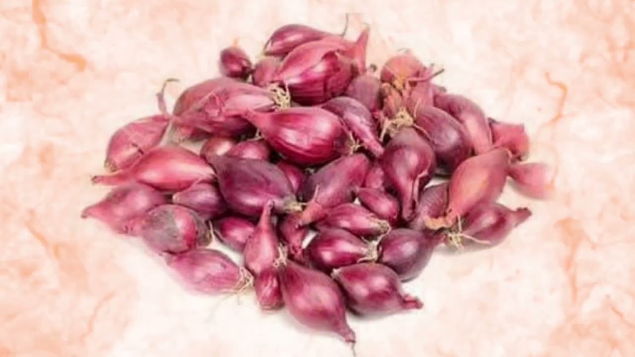 Luhongbagi numidangda Oja Iboyaima Mangang na ebiba #kangleipak 